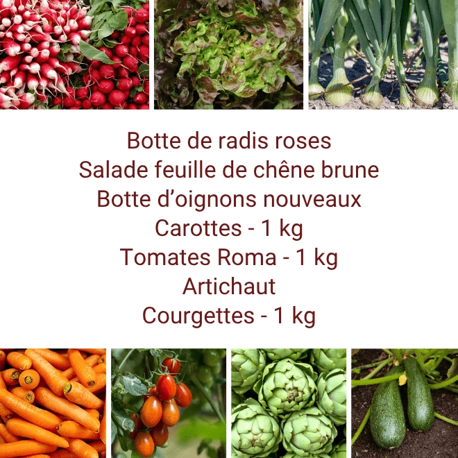 Panier MIDI Tout Légumes