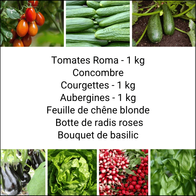 Panier MIDI Tout Légumes