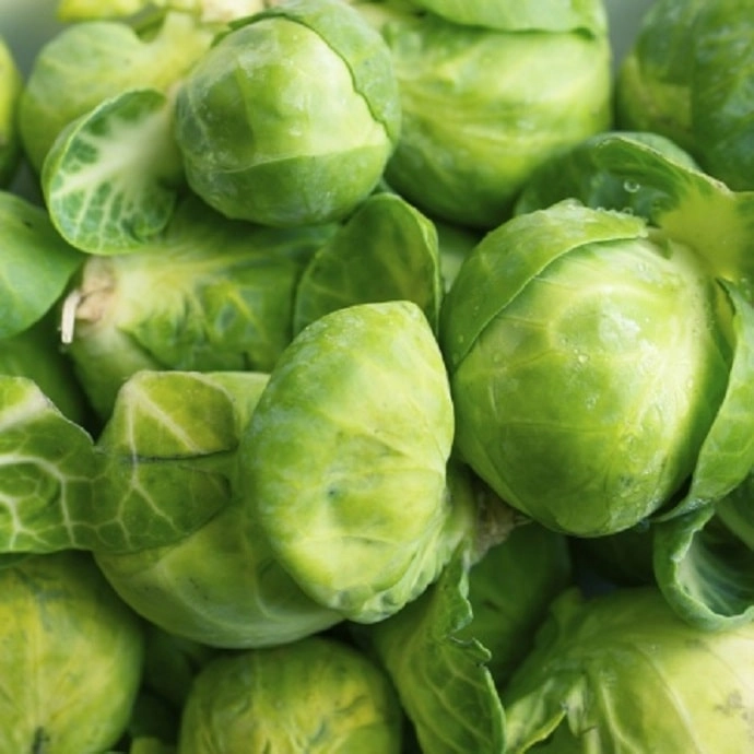 Cagette de choux de Bruxelles