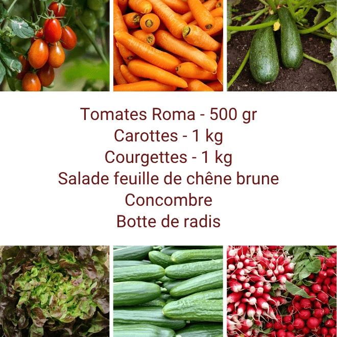 Panier MINI Tout Légumes
