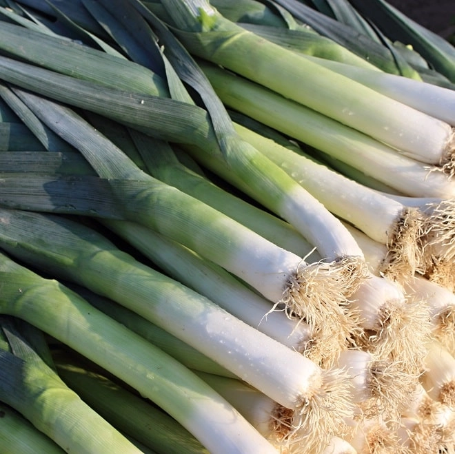 Cagette de poireaux