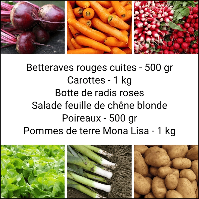 Panier MINI Tout Légumes