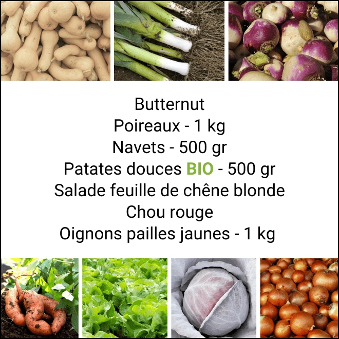 Panier MIDI Tout Légumes