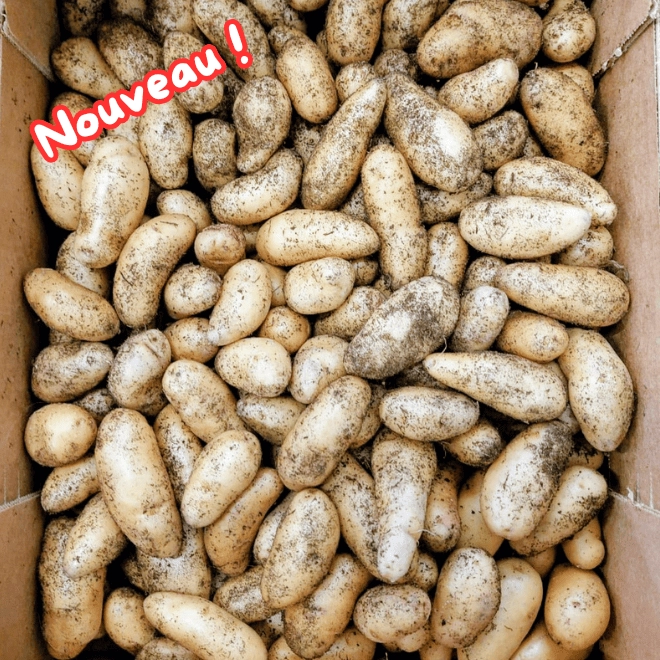 Cagette de pommes de terre ratte