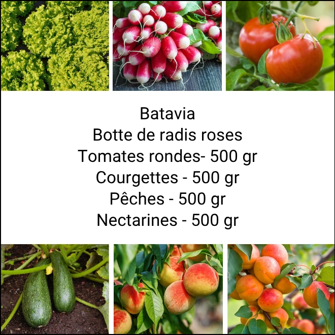 Panier MINI Fruits & Légumes