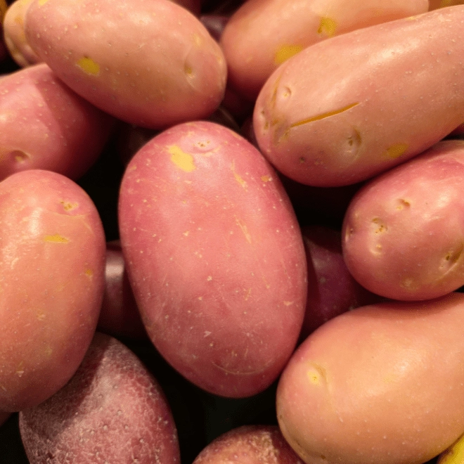 Pommes de terre Désirée (semi-fermes)