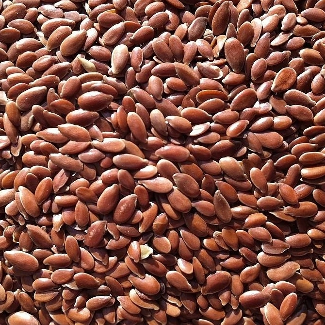 Graines de lin brun BIO