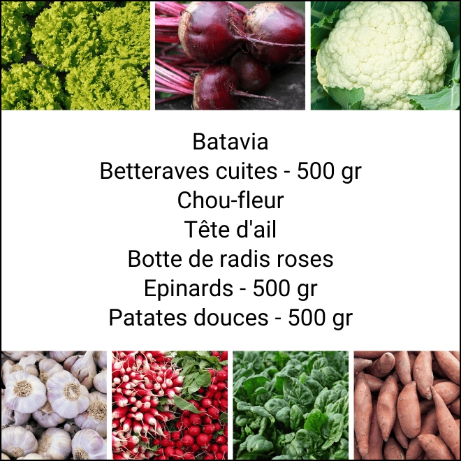 Panier MIDI Tout Légumes