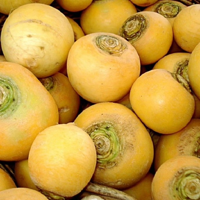 3 façons de cuisiner le navet boule d'or