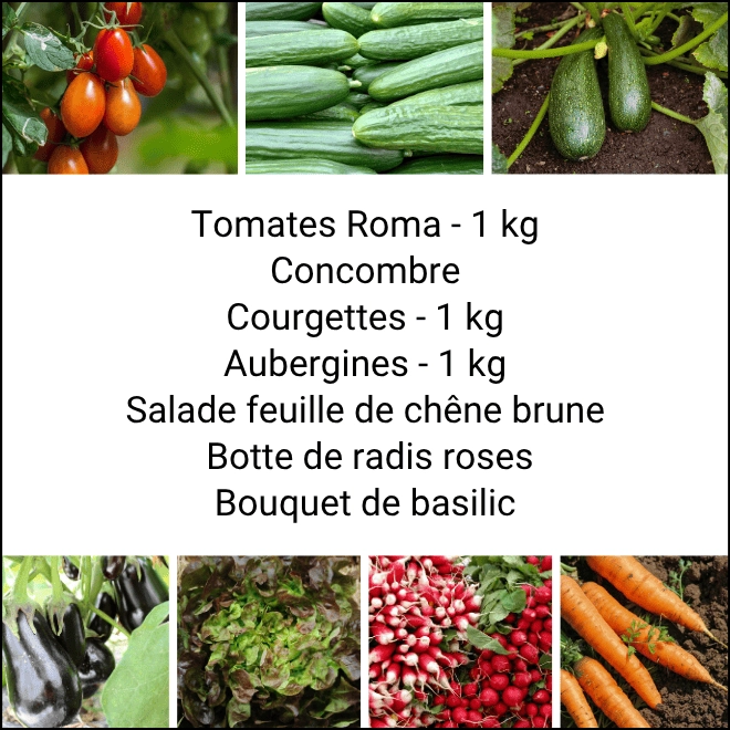 Panier MIDI Tout Légumes