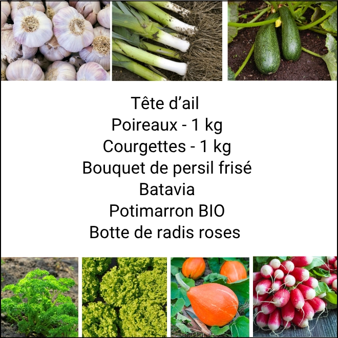 Panier MIDI Tout Légumes