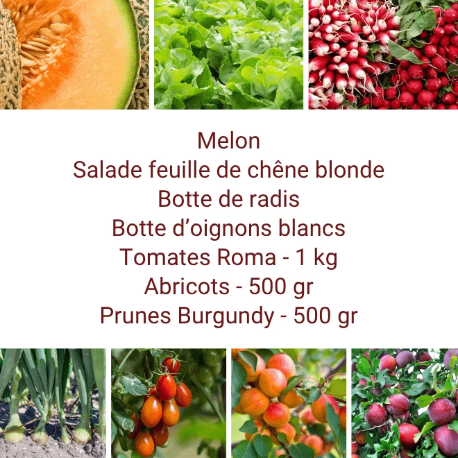 Panier MIDI Fruits & Légumes