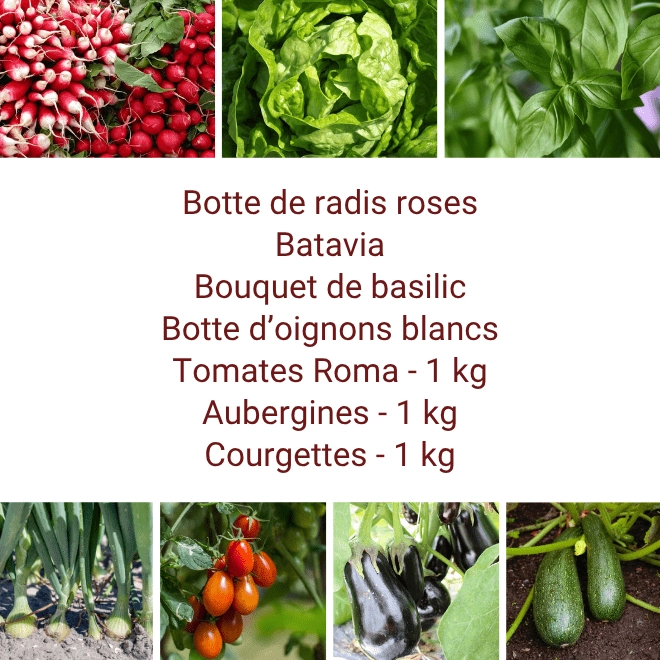 Panier MIDI Tout Légumes