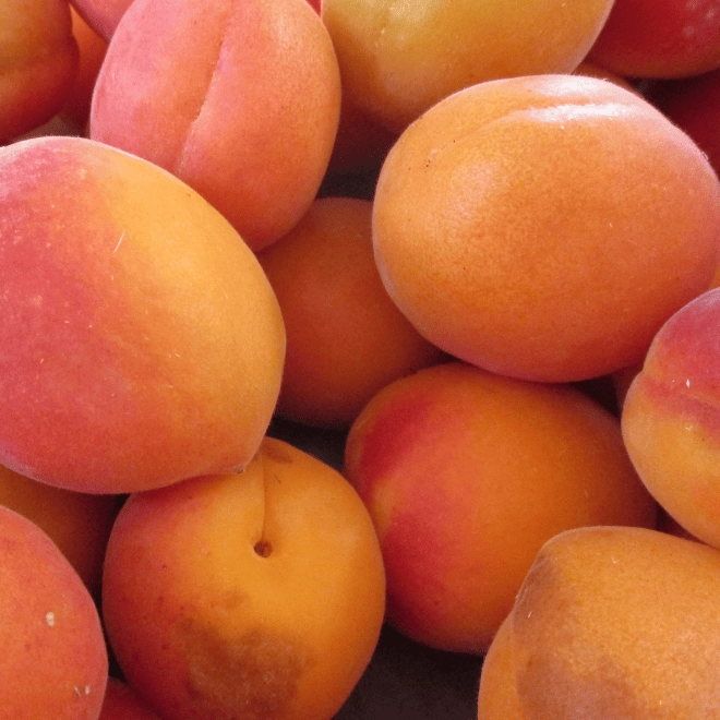 Cagette d'abricots 2ème choix