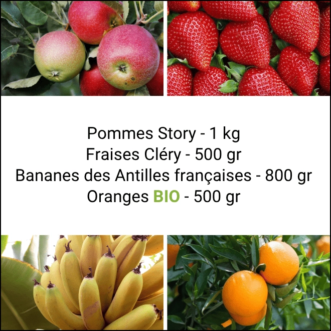 Panier Tout Fruits