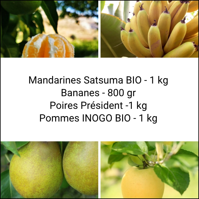 Panier Tout Fruits
