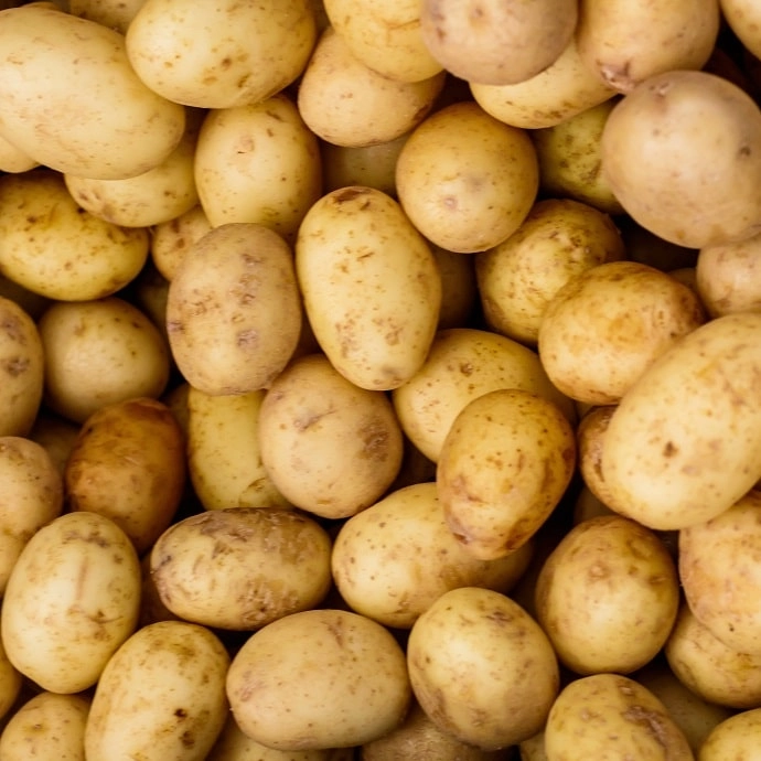 Pommes de terre Marabel BIO (chair tendre)