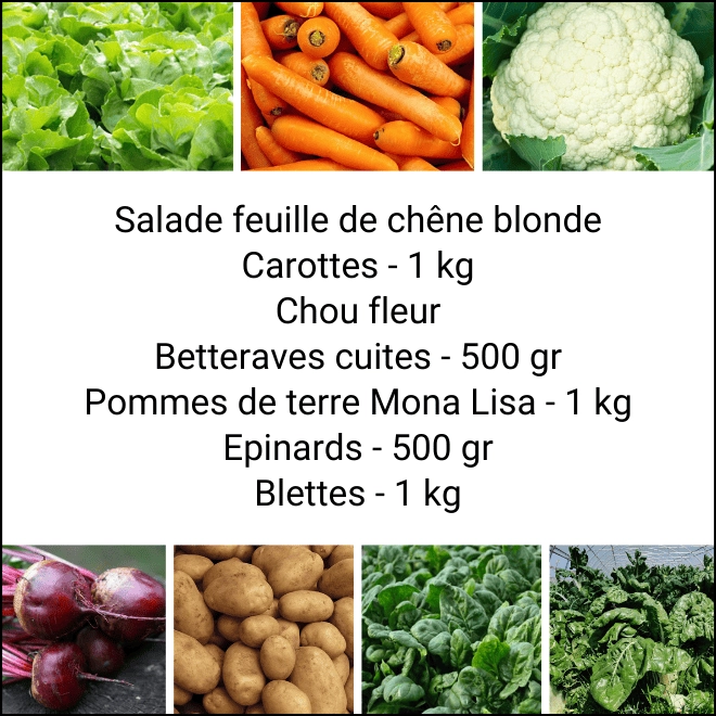 Panier MIDI Tout Légumes