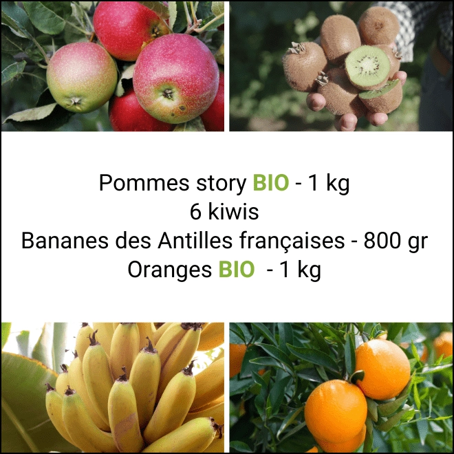 Panier tout Fruits