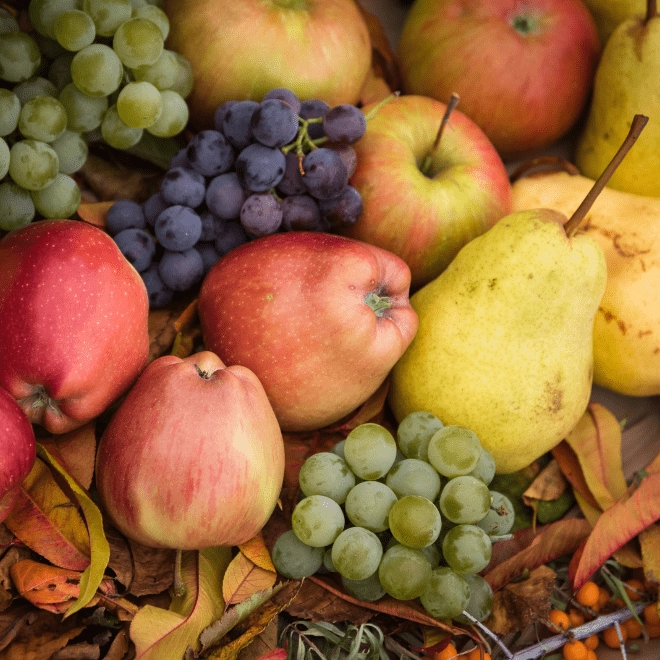 Top 10 des fruits et légumes locaux à déguster en automne !