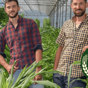 Les radis fringants - producteurs BIO dans le Beaujolais