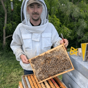 Sat’Honey Miels - apiculteur à Sathonay Camp