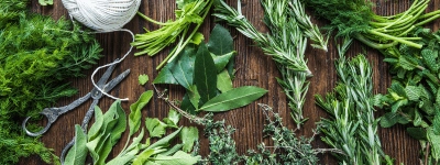 Astuce 2 : faire sécher vos herbes aromatiques