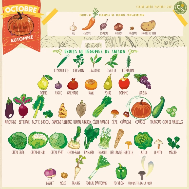 L'automne par Claire Sophie Pissenlit