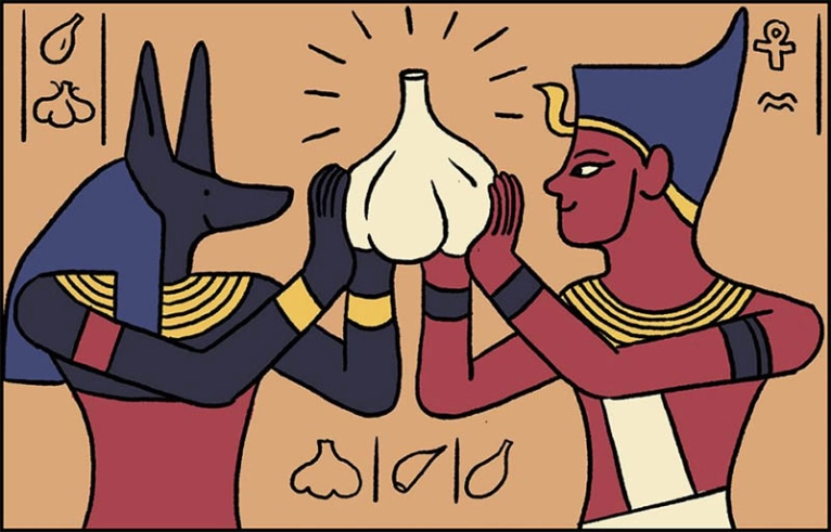 https://ail-echalote-certifie.org/histoire-vertus-sante-ail/