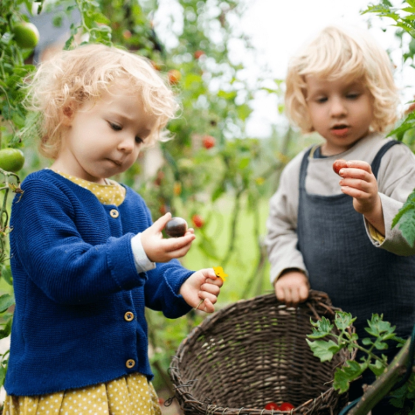 Enfants cueillant des légumes