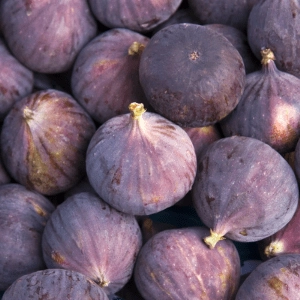 Figues Violette de Solliès