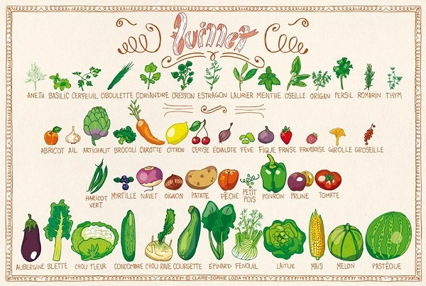 Fruits et légumes de juillet