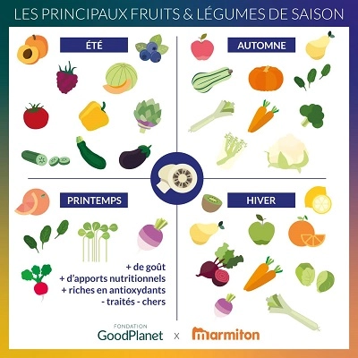 Infographie des fruits et légumes de saison
