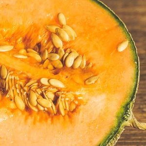 Melon Charentais