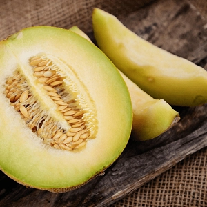 Melon Galia