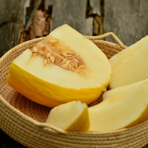 Melon canari