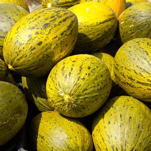 Melon Piel de Sapo