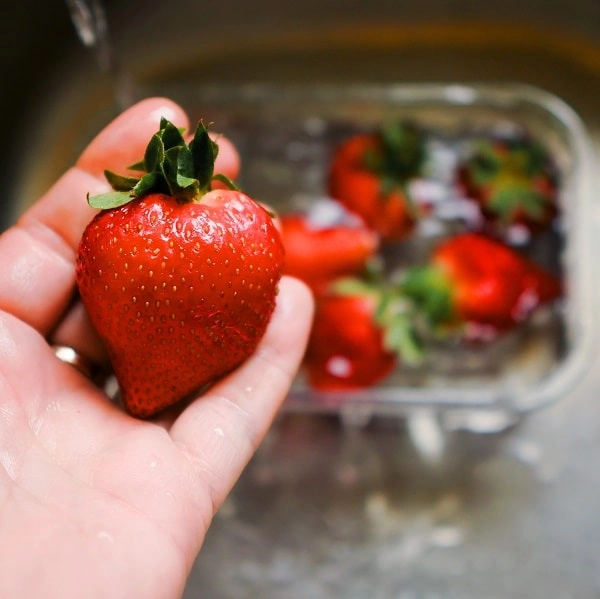 Comment conserver vos fraises plus longtemps ?