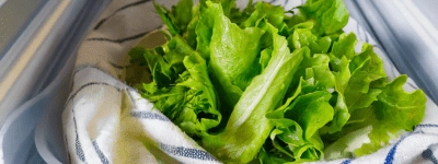 Salade au frigo dans un torchon