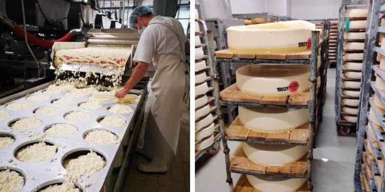 Production de fromages chez Vercors lait