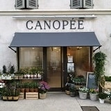 CANOPEE FLEURISTE