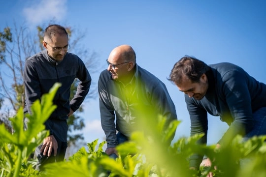 2019, conversion de nos céréales en BIO