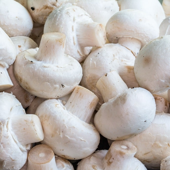 Champignons blancs - 500 gr