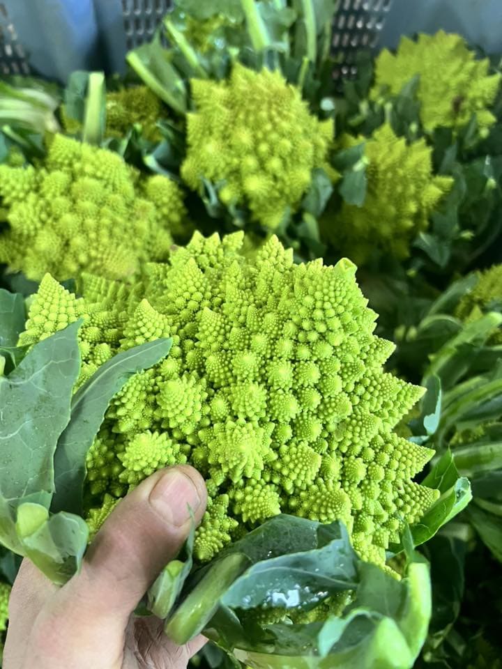 Choux romanesco