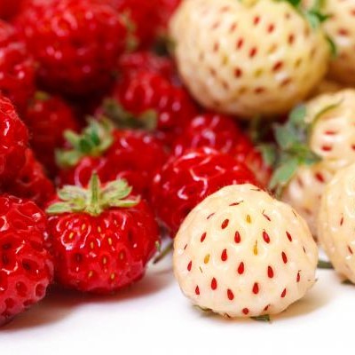 Fraises ananas et framberry Fraises ananas et framberry