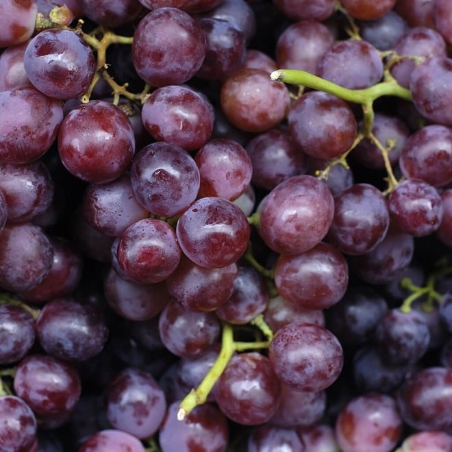 Raisins noirs Muscat